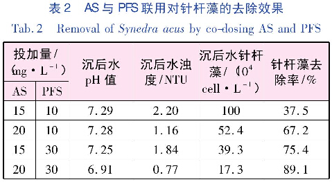 表2 AS與PFS聯(lián)用對針桿藻的去除效果